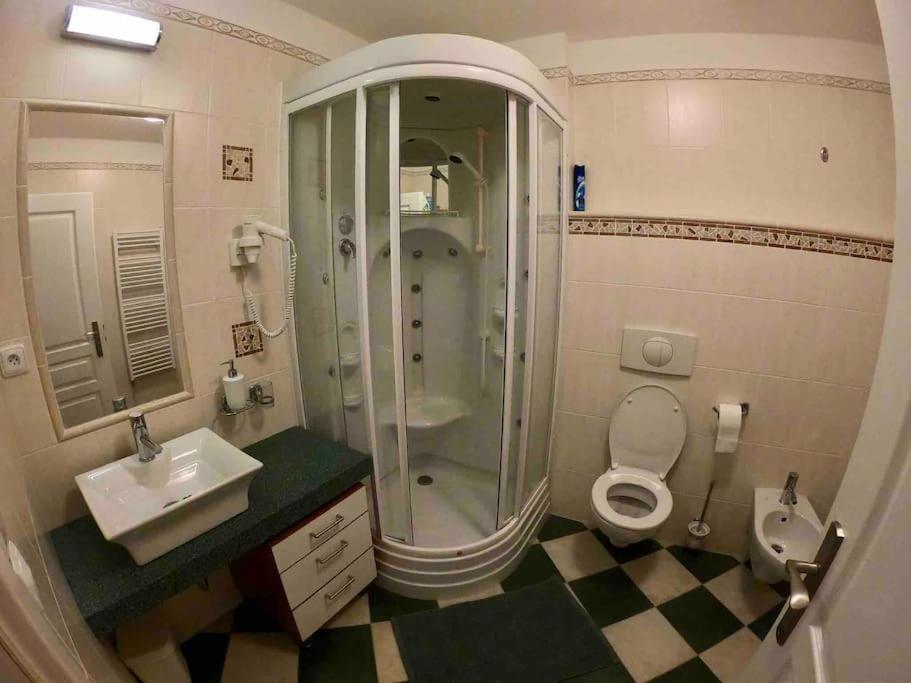 Huge Two Floor Apartment On The Park Colonnade With Free Parking For One Car, 160 Sqm Karlovy Vary Dış mekan fotoğraf