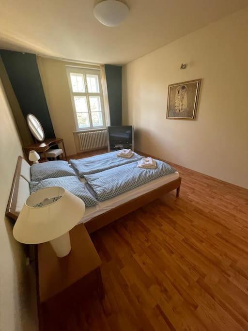 Huge Two Floor Apartment On The Park Colonnade With Free Parking For One Car, 160 Sqm Karlovy Vary Dış mekan fotoğraf